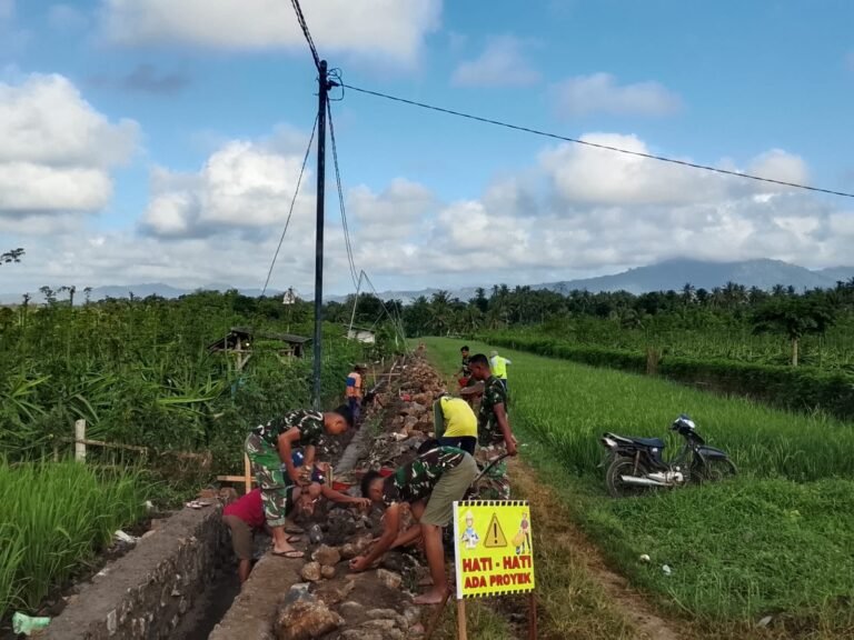Satgas TMMD ke-125 Kodim 0825 Banyuwangi Genjot Pembangunan Saluran Irigasi, Progres Capai 50 Persen