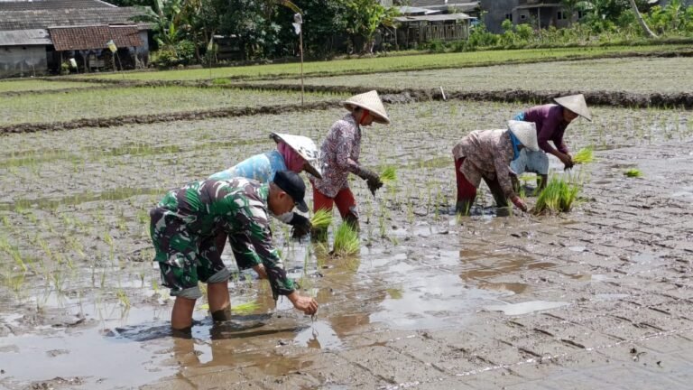 Ampelgading – Pagi yang sejuk di Dusun Krajan 1 B, Desa Lebakharjo, Kecamatan Ampelgading, Kabupaten Malang (10/2025), menjadi saksi kebersamaan antara anggota Satgas TMMD ke-126 dan warga setempat. ‎