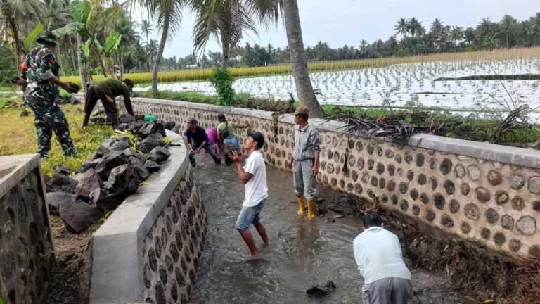 Babinsa Koramil 0825/20 Songgon Bersama Warga Gelar Karya Bhakti Pembersihan Saluran Irigasi Dan Perbaikan Jalan Berlubang