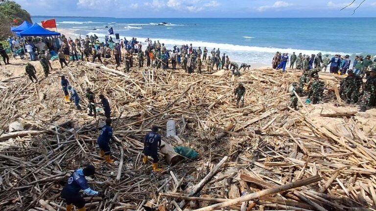 Wujudkan Kawasan Wisata Bersih dan Indah, Personel Gabungan Evakuasi Sampah Kayu di Pantai Pancur Banyuwangi